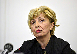 Snežana Ilić, Centar za razvoj civilnog društva