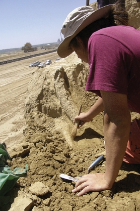 SEDAM NOVIH FOSILA: Arheolozi iz Viminacijuma otkrivaju kljovu vunastog mamuta na ugljenokopu Drmno<br><br>fotografije: marija vidić
